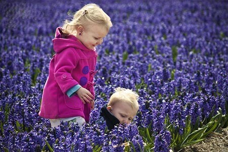 اخبار ,اخبار گوناگون تصاویر باغ اروپا