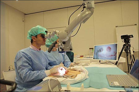 اخبار ,اخبار علمی ,شبیه ساز رانندگی اخبار ,اخبار علمی ,شبیه ساز رانندگی