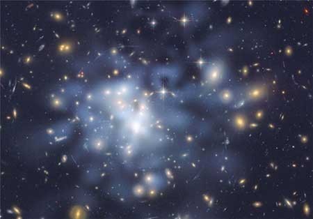 اخبار ,اخبار اقتصادی ,پادماده