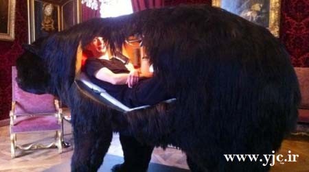 اخبار , اخبار گوناگون,زندگی در دل خرس,تصاویری از زندگی در دل خرس اخبار , اخبار گوناگون,زندگی در دل خرس,تصاویری از زندگی در دل خرس