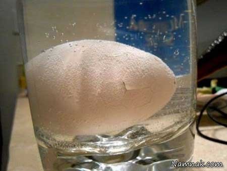 اخبار ,اخبار گوناگون ,تخم مرغ اسرار آمیز