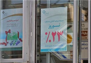 اخبار ,اخبار اقتصادی ,سود بانکی 