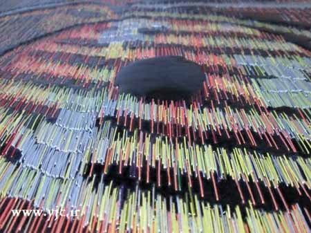 اخبار گوناگون,اخبار,نقاشی های از جنس سنجاق