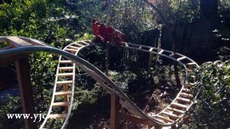 اخبار,اخبار گوناگون,ساخت ترن هوایی در حیاط خانه