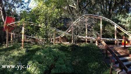 اخبار,اخبار گوناگون,ساخت ترن هوایی در حیاط خانه