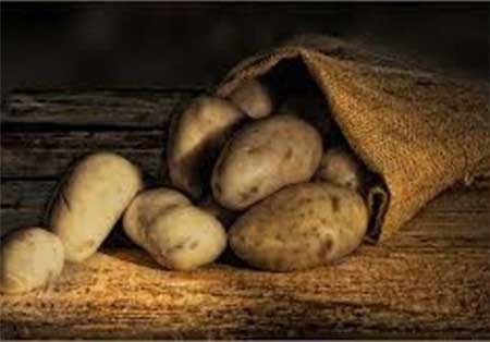 اخبار,اخبار گوناگون,آشنایی با مواد غذایی کشنده,مواد غذایی بی ضرر و کشنده اخبار,اخبار گوناگون,آشنایی با مواد غذایی کشنده,مواد غذایی بی ضرر و کشنده