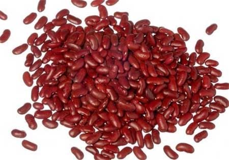 اخبار,اخبار گوناگون,آشنایی با مواد غذایی کشنده,مواد غذایی بی ضرر و کشنده اخبار,اخبار گوناگون,آشنایی با مواد غذایی کشنده,مواد غذایی بی ضرر و کشنده