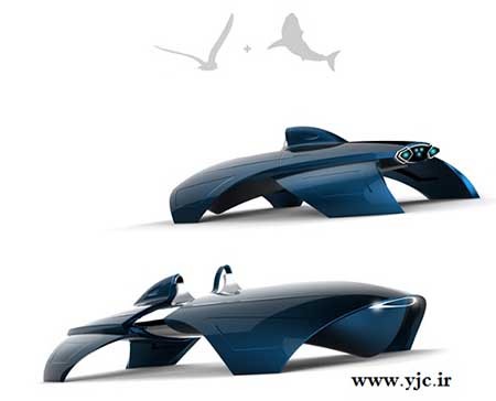 اخبار,اخبارگوناگون,خودروی کوسه