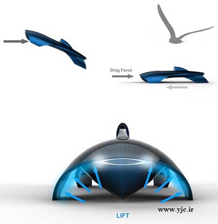 اخبار,اخبارگوناگون,خودروی کوسه