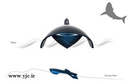 اخبار,اخبارگوناگون,خودروی کوسه