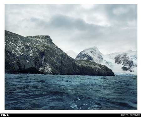 اخبار , اخبار علمی , قدیمی‌ترین موجودات زنده