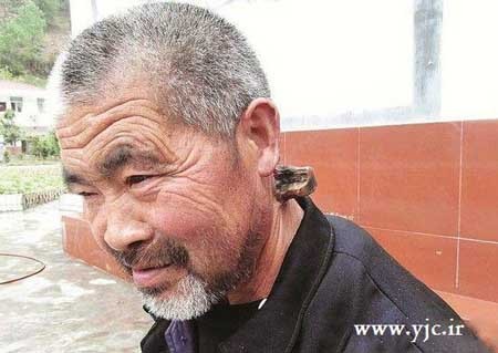 اخبار , اخبار گوناگون, مرد شاخ دار