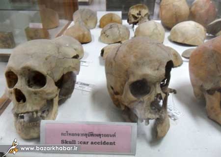 اخبار , اخبار گوناگون, عجیب ترین موزه های دنیا