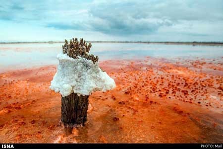 اخبار , اخبار گوناگون , سازه‌های نمک 