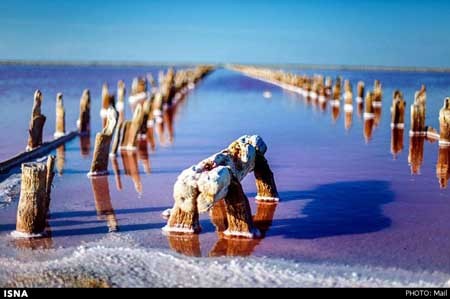 اخبار , اخبار گوناگون , سازه‌های نمک 