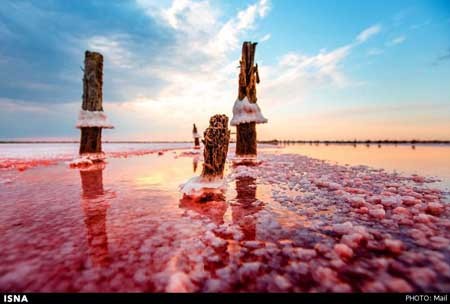 اخبار , اخبار گوناگون , سازه‌های نمک 