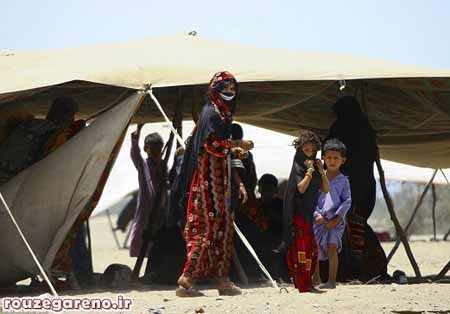 اخبار,اخبار گوناگون,قبیله رشایده