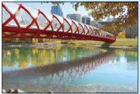 اخبار,اخبار گوناگون ,دوچرخه سواری