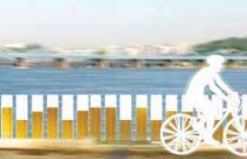 اخبار,اخبار گوناگون ,دوچرخه سواری