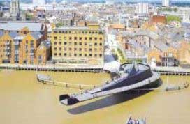 اخبار,اخبار گوناگون ,دوچرخه سواری