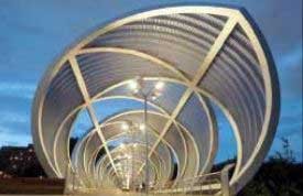 اخبار,اخبار گوناگون ,دوچرخه سواری