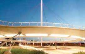 اخبار,اخبار گوناگون ,دوچرخه سواری