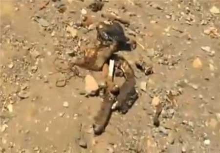 کشف مومیایی 7 هزار ساله توسط دانش آموزان 1