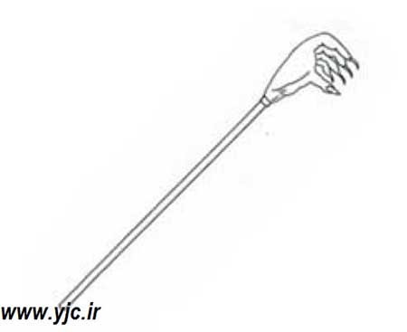 اخبار,اخبارگوناگون,سلاح خشن