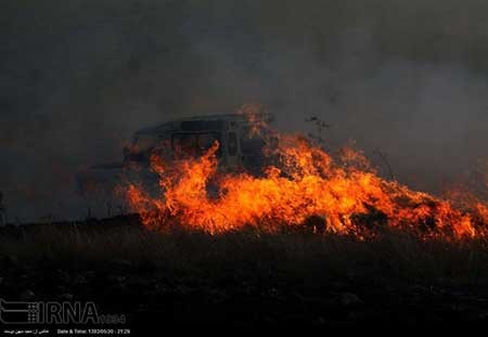 اخبار,اخبار حوادث , پارک ملی گلستان