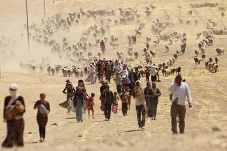 اخبار ,اخبار بین الملل ,فرار ایزیدی های عراق از جنایات داعش