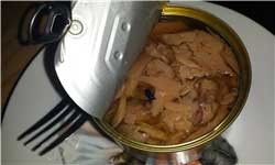 تن ماهی جان جوان 28ساله بجنوردی را گرفت 1