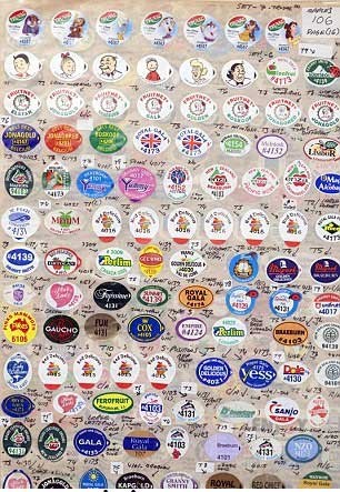 اخبار,اخبار گوناگون ,کلکسیون های عجیب  