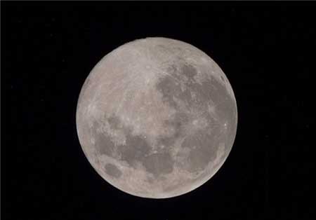 اخبار,اخبار گوناگون ,جشنواره پاییزه بدر 