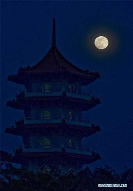 اخبار,اخبار گوناگون ,جشنواره پاییزه بدر 