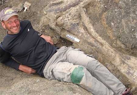 اخبار,اخبار گوناگون , ترین اسکلت دایناسور 