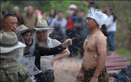 اخبار,اخبار گوناگون ,زنبوردار چینی