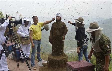 اخبار,اخبار گوناگون ,زنبوردار چینی