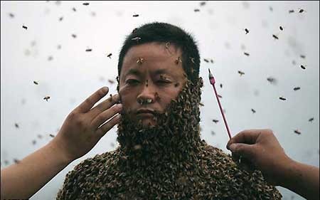 اخبار,اخبار گوناگون ,زنبوردار چینی