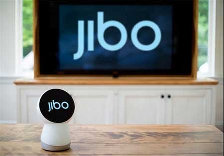 اخبار,اخبار گوناگون ,رباتی برای تمام اعضای خانواده