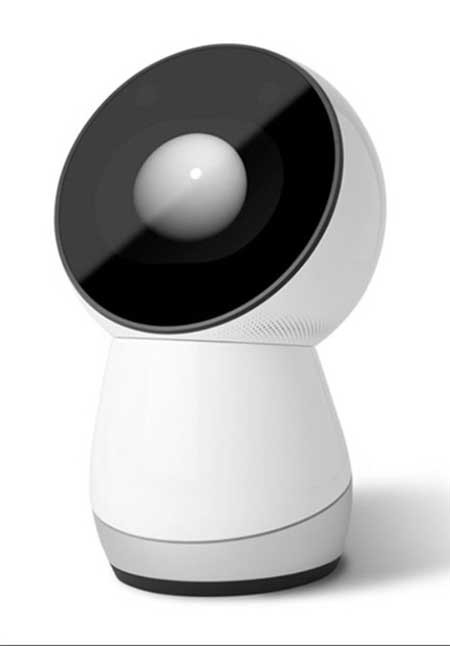 اخبار,اخبار گوناگون ,رباتی برای تمام اعضای خانواده