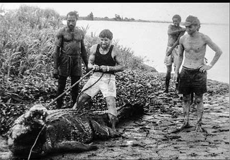 اخبار,اخبار گوناگون , بزرگترین تمساح جهان