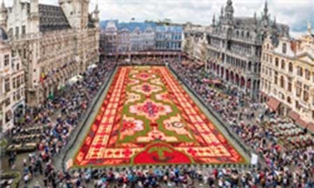 اخبار,اخبارگوناگون,بزرگ‌ترین فرش جهان