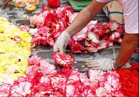 اخبار,اخبارگوناگون,بزرگ‌ترین فرش جهان