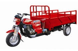 اخبار,اخبار گوناگون,نعش کشی مردگان اخبار,اخبار گوناگون,نعش کشی مردگان