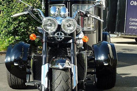 اخبار,اخبار گوناگون,نعش کشی مردگان اخبار,اخبار گوناگون,نعش کشی مردگان