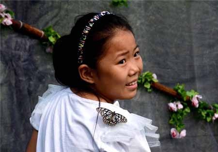 اخبار,اخبار گوناگون,پروانه‌