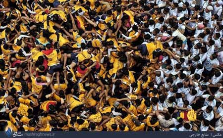 اخبار,اخبار گوناگون,جشن جانمشتمی