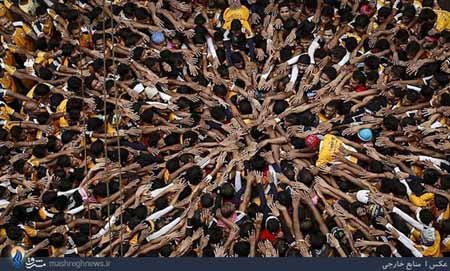 اخبار,اخبار گوناگون,جشن جانمشتمی