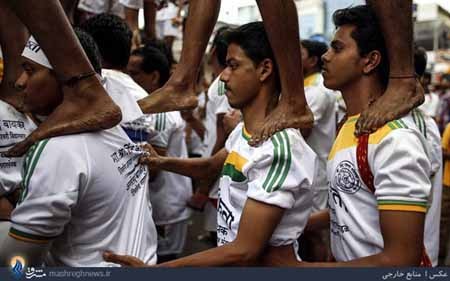 اخبار,اخبار گوناگون,جشن جانمشتمی