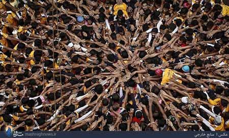 اخبار,اخبار گوناگون,جشن جانمشتمی